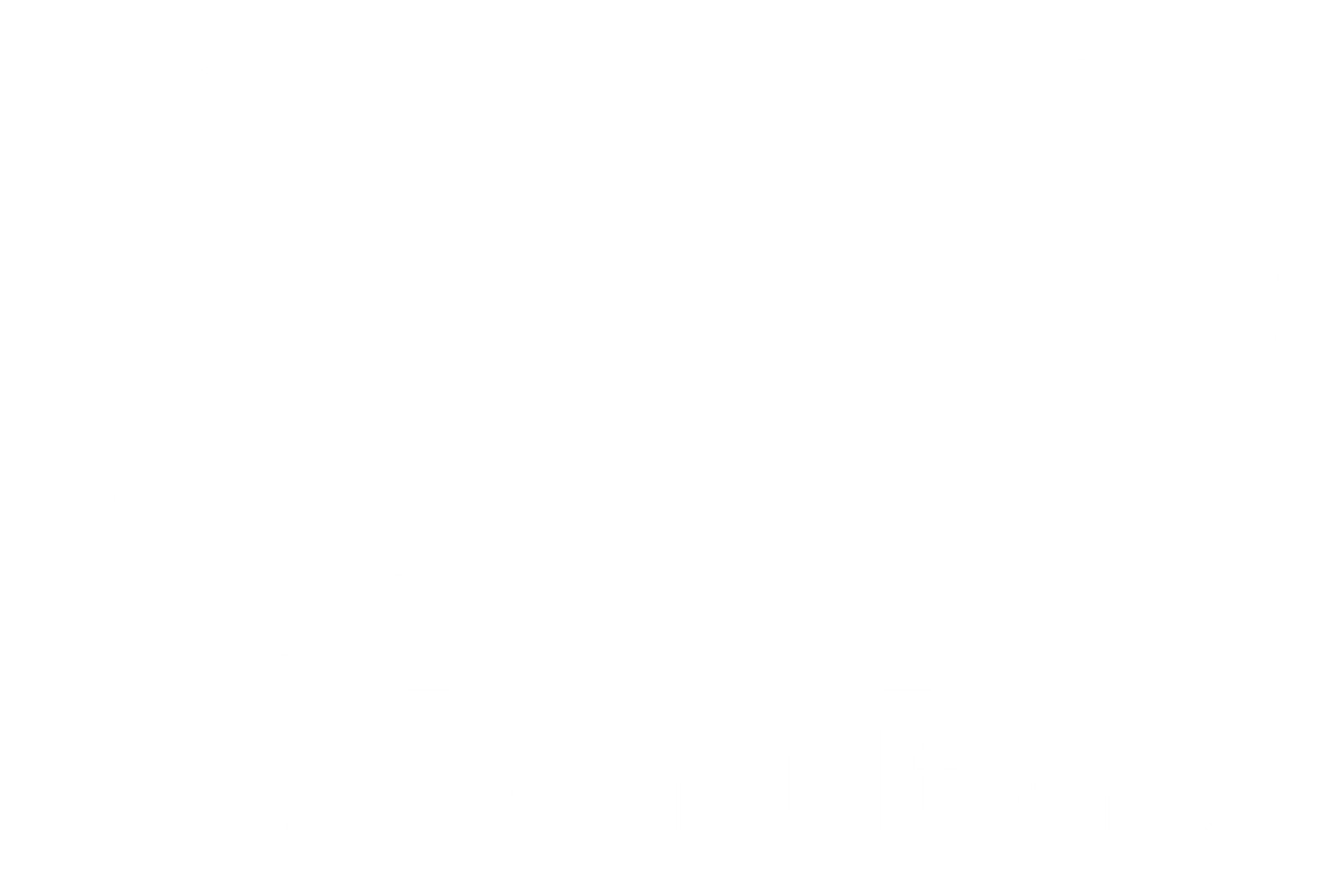 Web Consultancy